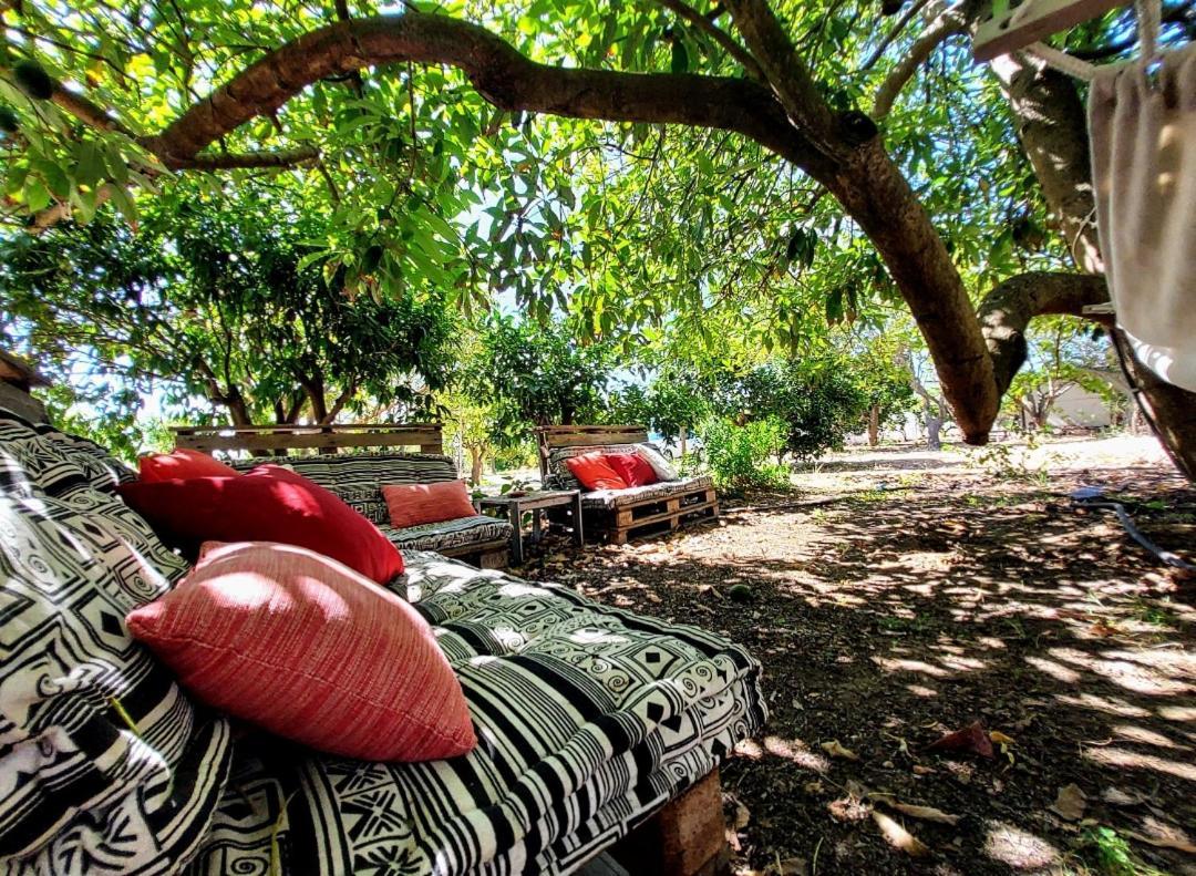 Quinta Da Norinha Hotel ปอร์ติเมา ภายนอก รูปภาพ
